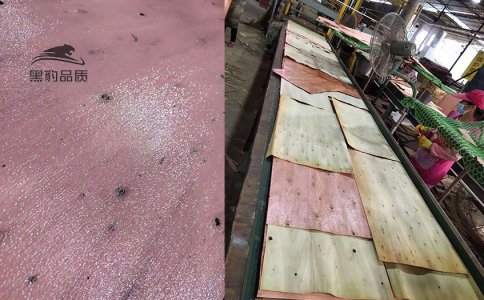 柳州9層施工用酚醛面工程板