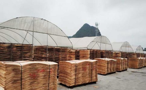 南寧模板廠「黑豹木業」大型單板曬場