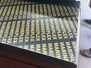 915mm建筑覆膜板現貨供應