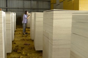 廣西建筑模板桉木1.1材料好