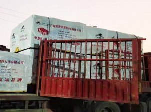 廣西建筑橋梁模板廠家
