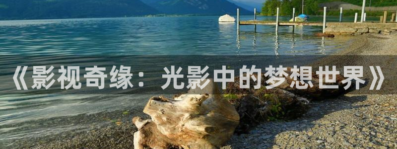 九七影院九七理論片：《影視奇緣：光影中的夢(mèng)想世界》