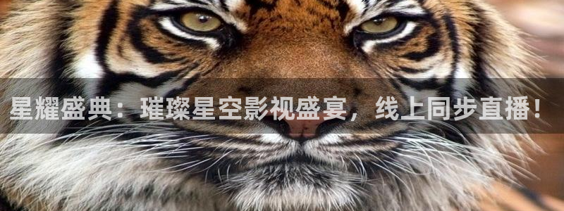 九七電影版在線播放：星耀盛典：璀璨星空影視盛宴，線上同步直播！